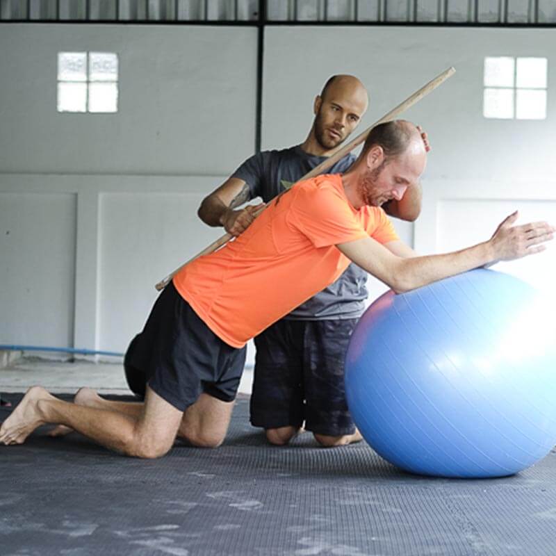 Phục hồi và tạo dáng