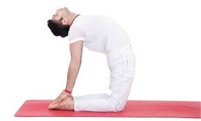 Tư thế Lạc đà